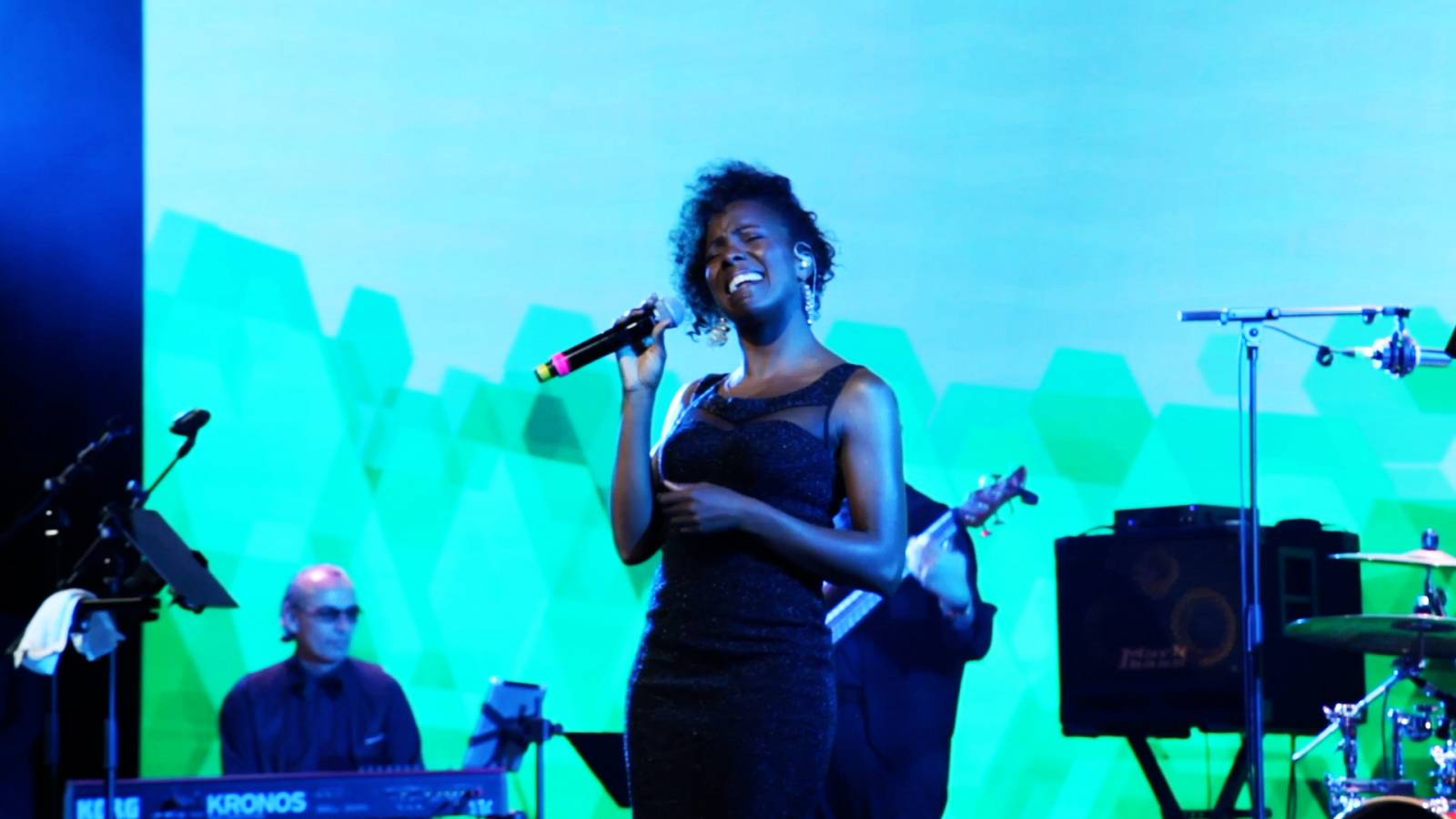 Musiciens avec groupe pour anniversaire ou événement familial Toulon Var