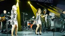 Nos prestations sur le secteur de Cannes